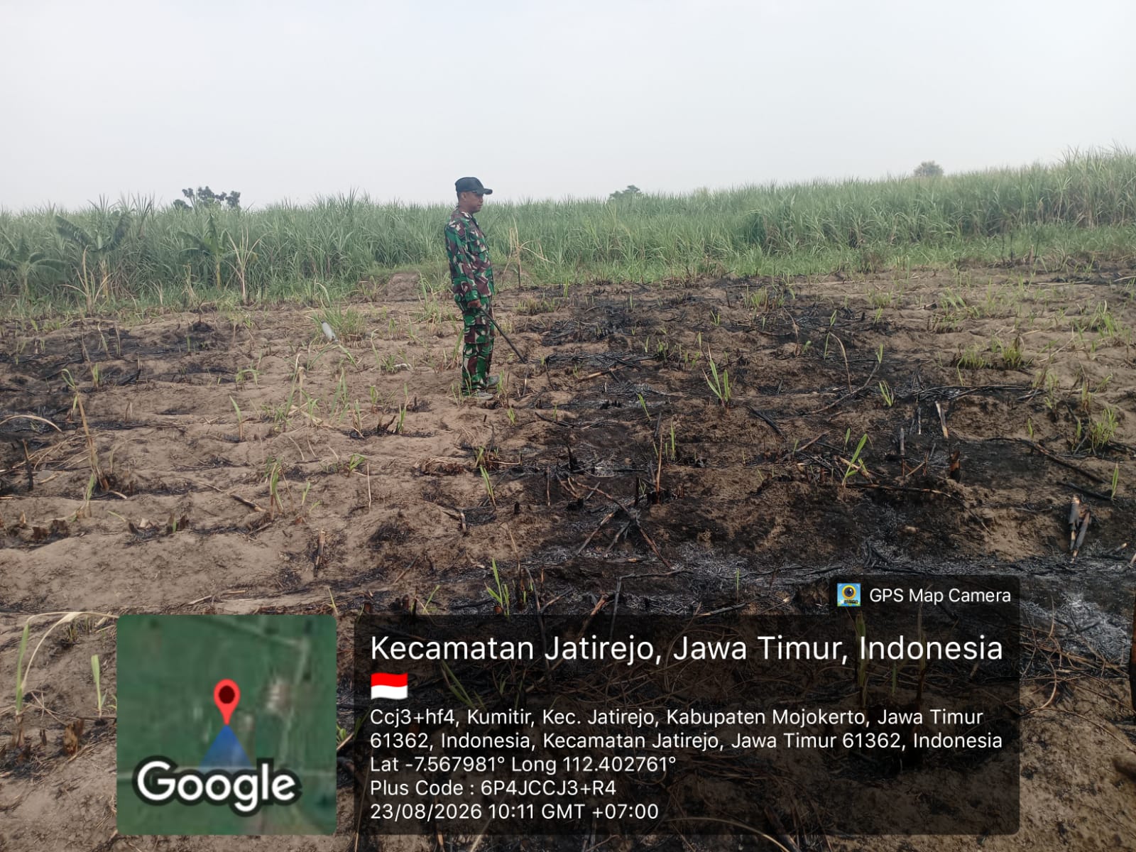 Respons Cepat Babinsa Jatirejo, Titik Api di Lahan Tebu Kumitir Berhasil Dipadamkan