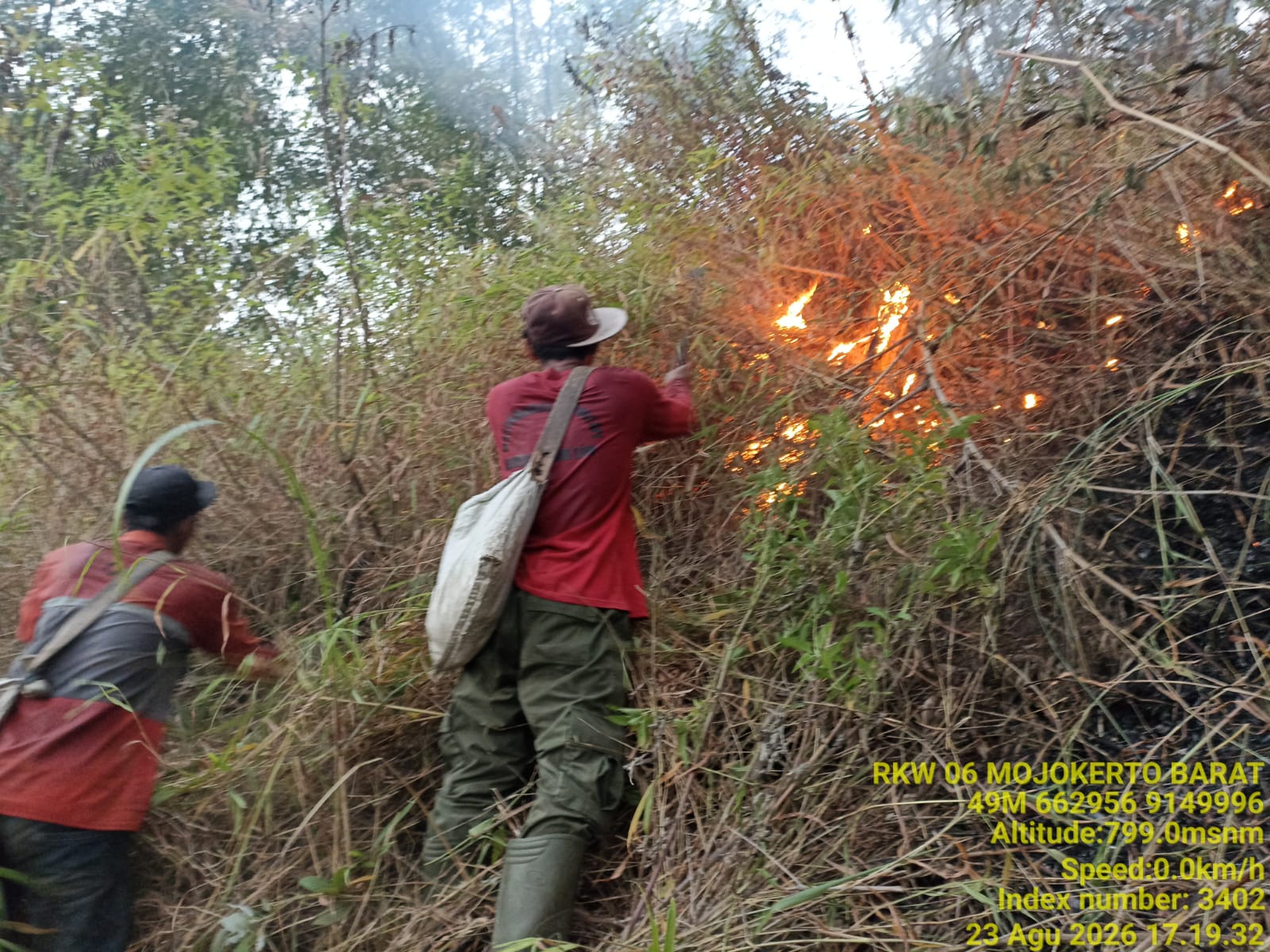 Karhutla Melanda Tiga Titik Kawasan Tahura Gondang, TNI dan Tim Gabungan Bergerak Cepat