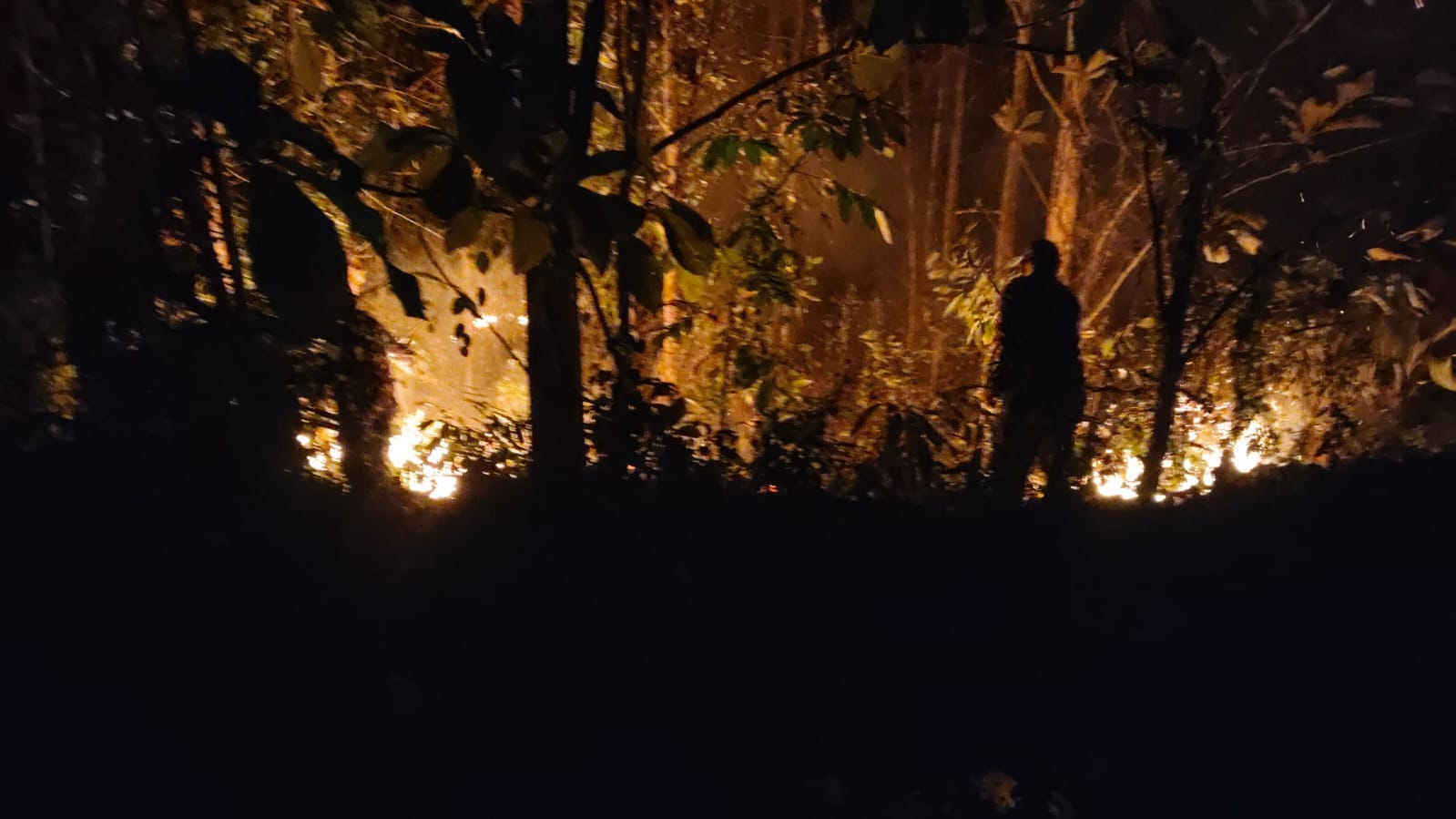 Angin Kencang Picu Karhutla di Tahura Jetis, Koramil 0815/07 dan Tim Gabungan Sigap Bertindak