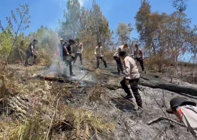 Karhutla Hanguskan 5 Hektare Lahan di Mamasa, Polisi dan Damkar Berjibaku Padamkan Api