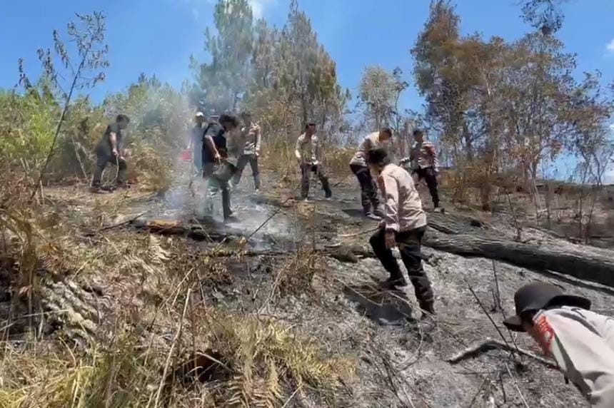 Karhutla Hanguskan 5 Hektare Lahan di Mamasa, Polisi dan Damkar Berjibaku Padamkan Api