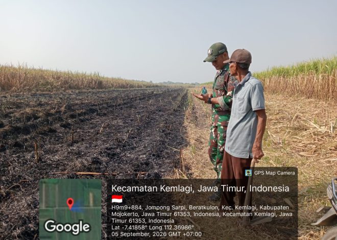 Pembakaran Sisa Tebu Picu Titik Api, Babinsa 0815/06 Kemlagi Beri Imbauan kepada Petani