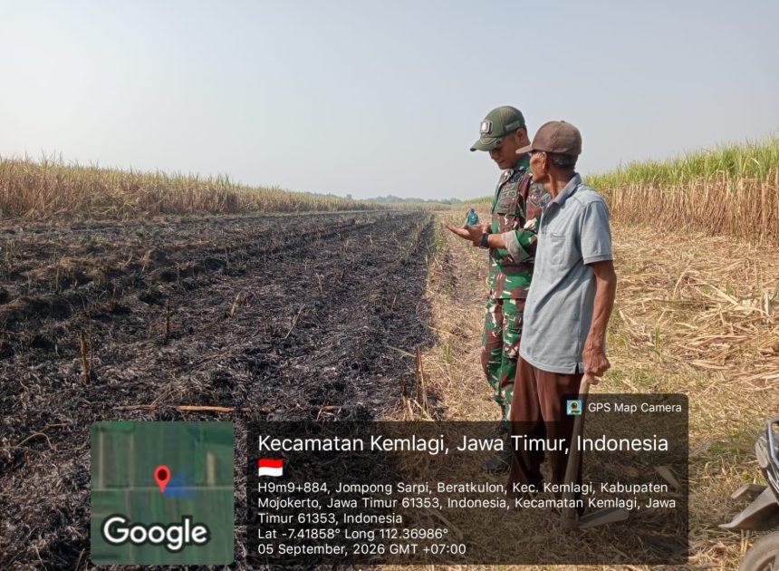 Pembakaran Sisa Tebu Picu Titik Api, Babinsa 0815/06 Kemlagi Beri Imbauan kepada Petani