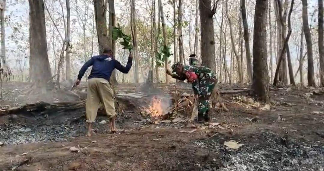 Titik Api di Lahan Perhutani Begaganlimo Berhasil Dipadamkan, Babinsa dan Warga Bergerak Cepat