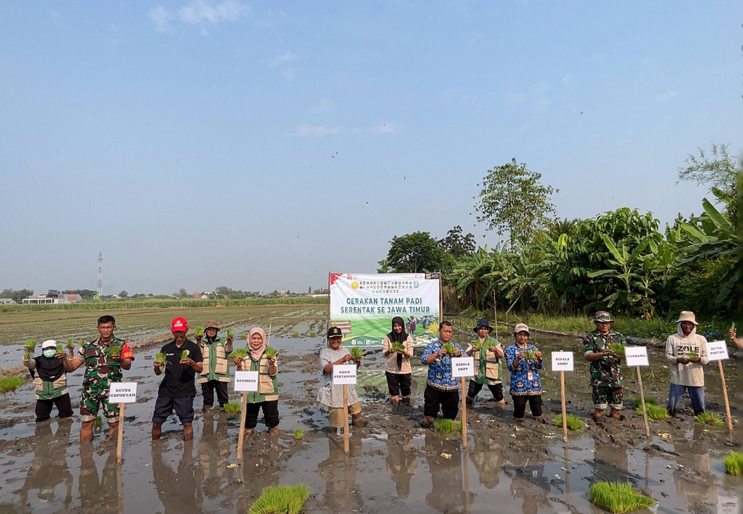 Koramil 0815/01 Pralon Bersama Petani Perkuat Ketahanan Pangan Lewat Gerakan Tanam Padi Serentak