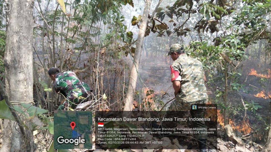 Titik Api di Hutan Jati Temuireng, Koramil 0815/08 Dawarblandong Bersama Warga Bergerak Padamkan Api
