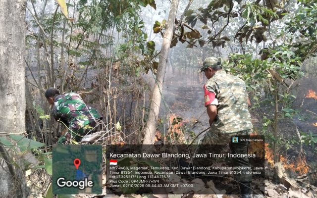 Titik Api di Hutan Jati Temuireng, Koramil 0815/08 Dawarblandong Bersama Warga Bergerak Padamkan Api