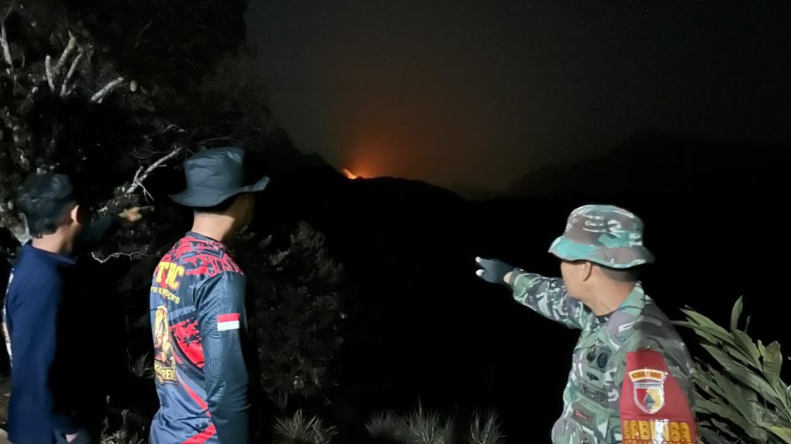 Karhutla di Kawasan Tahura Bukit Watu Jengger Mojokerto, Sekitar 15 Hektare Lahan Terbakar